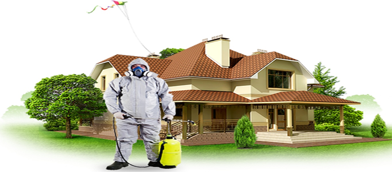 Buxoro dezinfeksiya xizmati-3